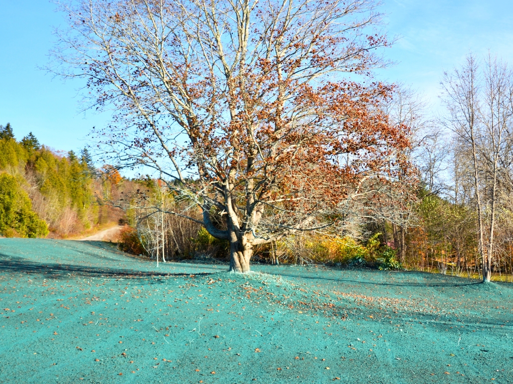 Colonel Landscaping 860-300-3497 276 Butlertown Rd, Oakdale, CT 06370 - CT hydroseeding (1)