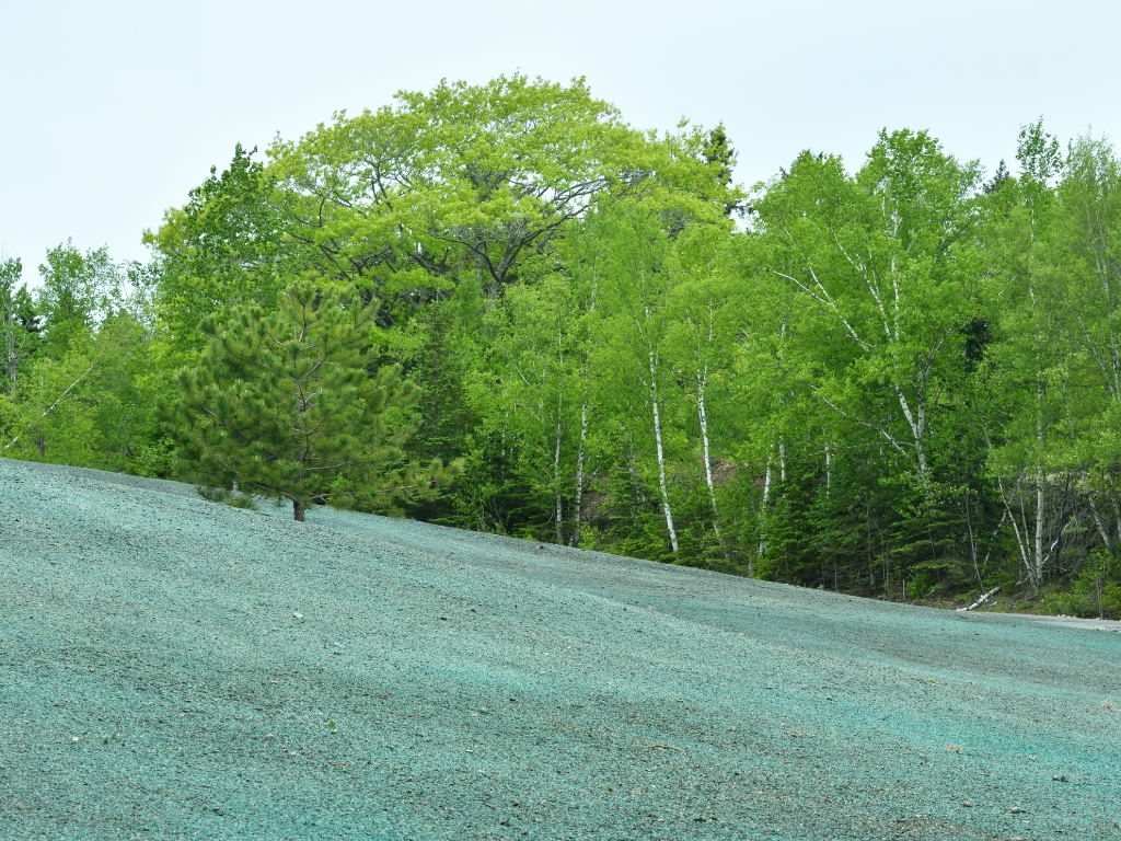 Colonel Landscaping 860-300-3497 276 Butlertown Rd, Oakdale, CT 06370 - hydroseeding CT (2) (1)
