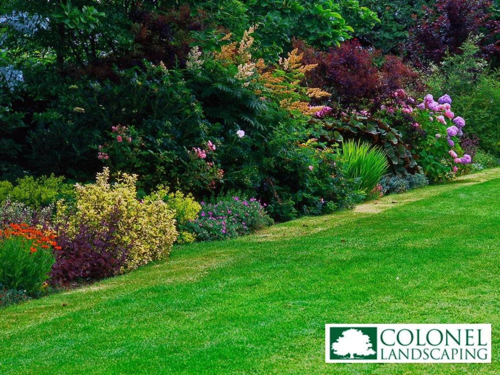 Colonel Landscaping 860 300 3497 276 Butlertown Rd, Oakdale, CT 06370 hydroseeding lawn services CT (1)