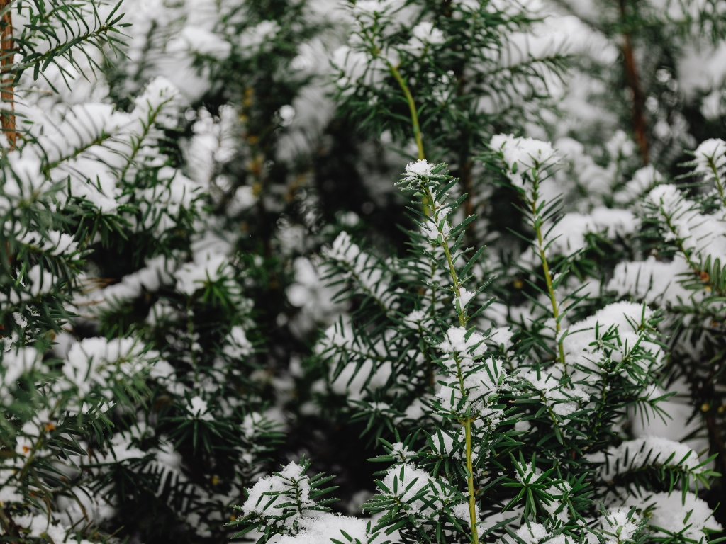 Colonel Landscaping 860 300 3497 276 Butlertown Rd, Oakdale, CT 06370 landscaping ideas