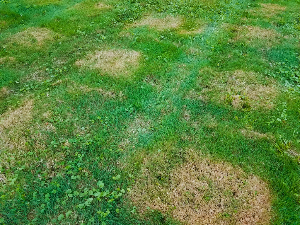 Colonel Landscaping 860 300 3497 276 Butlertown Rd, Oakdale, CT 06370 lawn care and maintenance