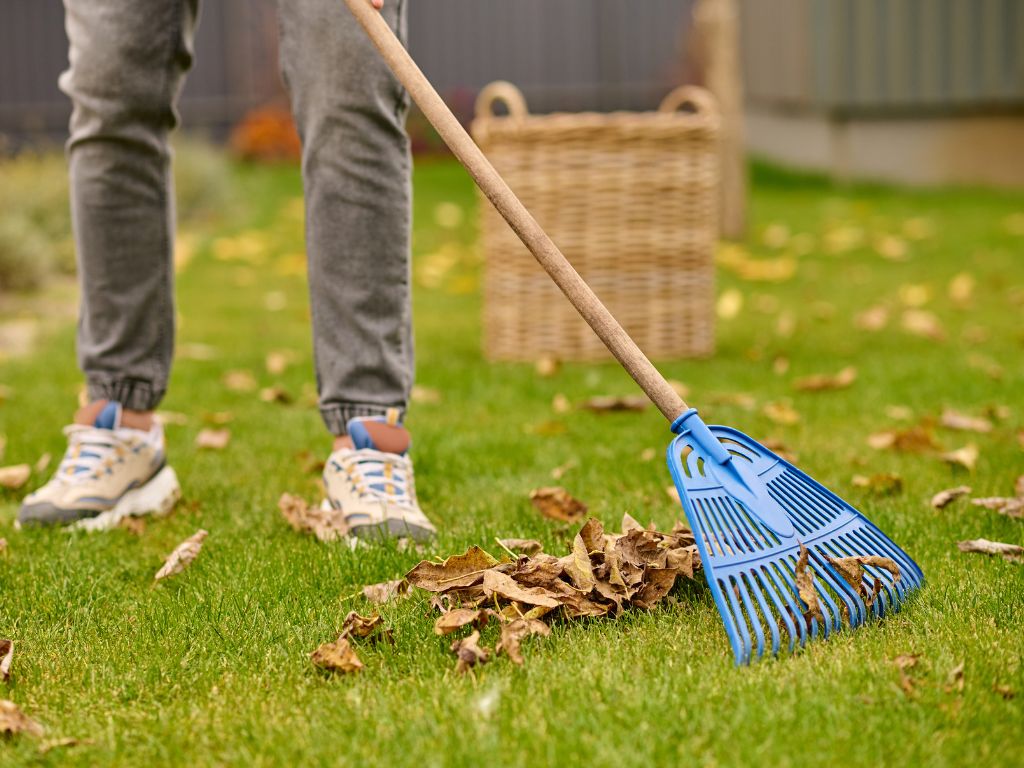 Colonel Landscaping 860 300 3497 276 Butlertown Rd, Oakdale, CT 06370 spring cleanup